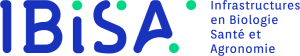 logo-ibisa.png